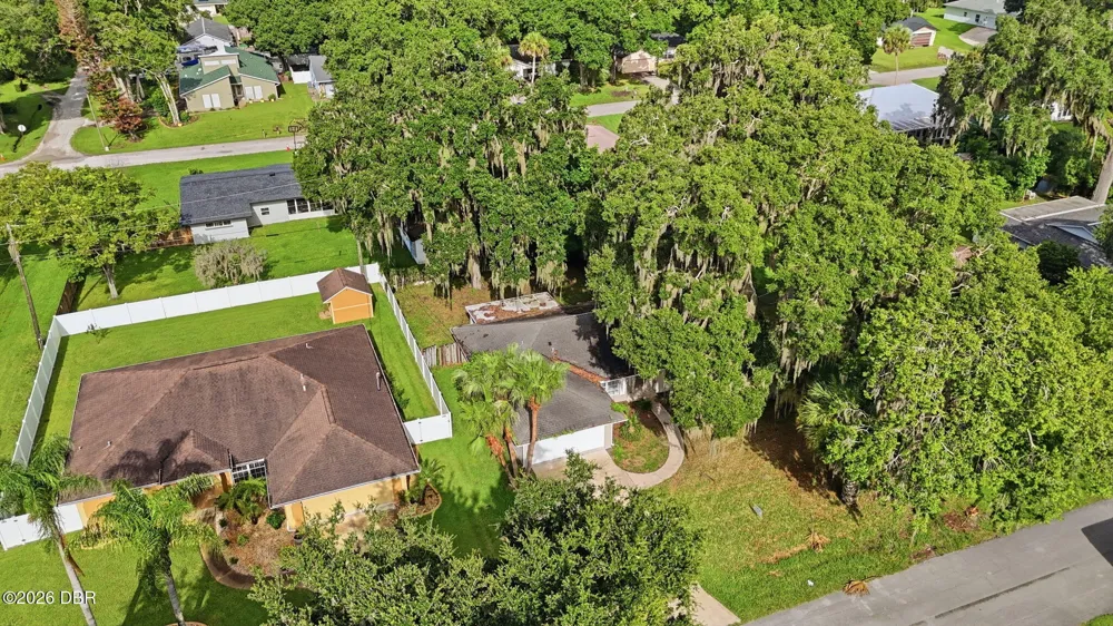 3128 Mango Tree Drive Edgewater, FL 32141