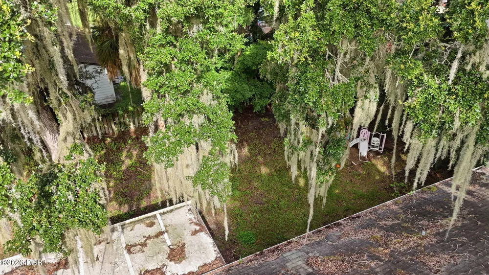 3128 Mango Tree Drive Edgewater, FL 32141