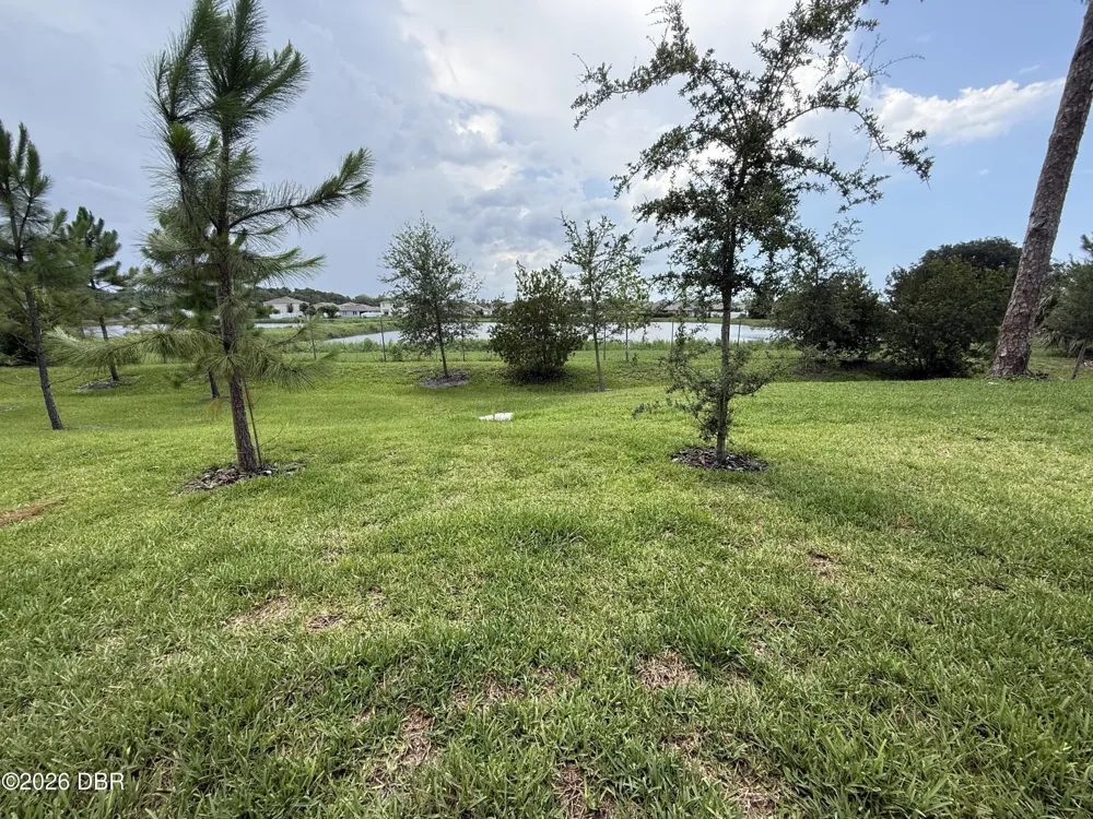2733 Silver Canoe Drive Edgewater, FL 32141