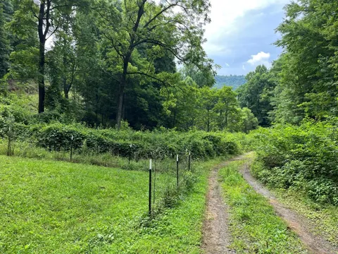 00 Bates Creek Road