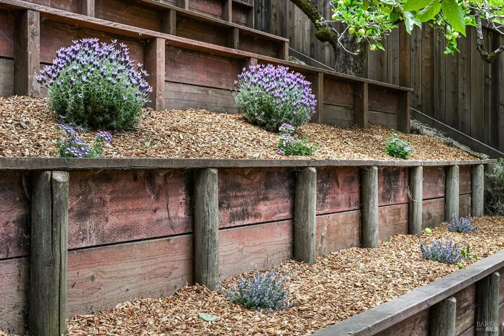220 Laurel Avenue San Anselmo, CA 94960