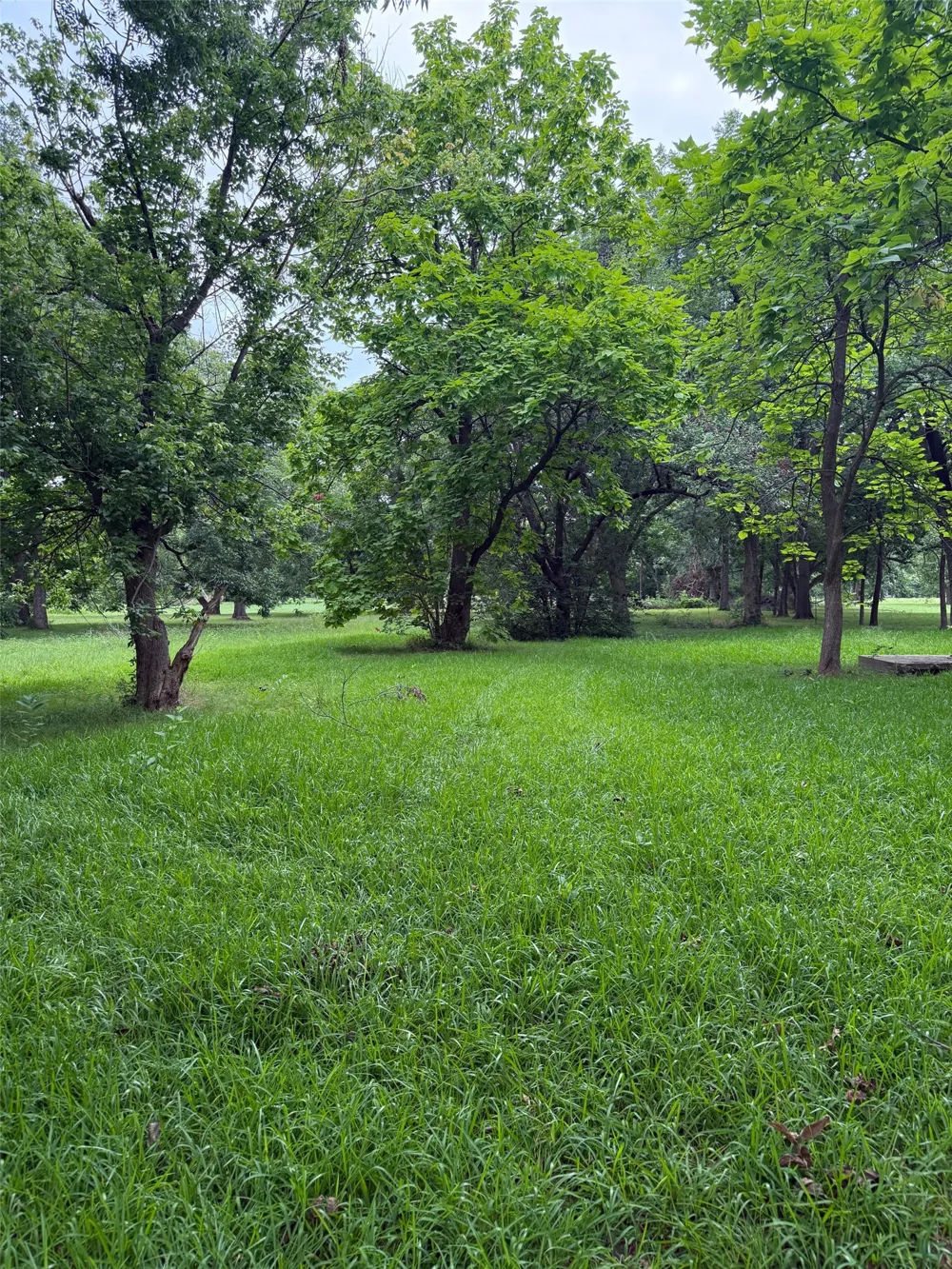 510 Braz Street Bonham, TX 75418