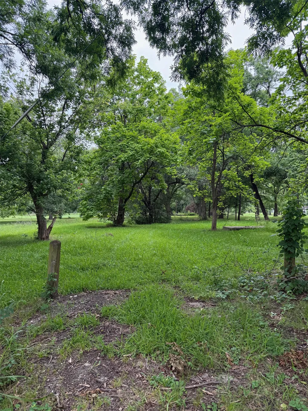 510 Braz Street Bonham, TX 75418
