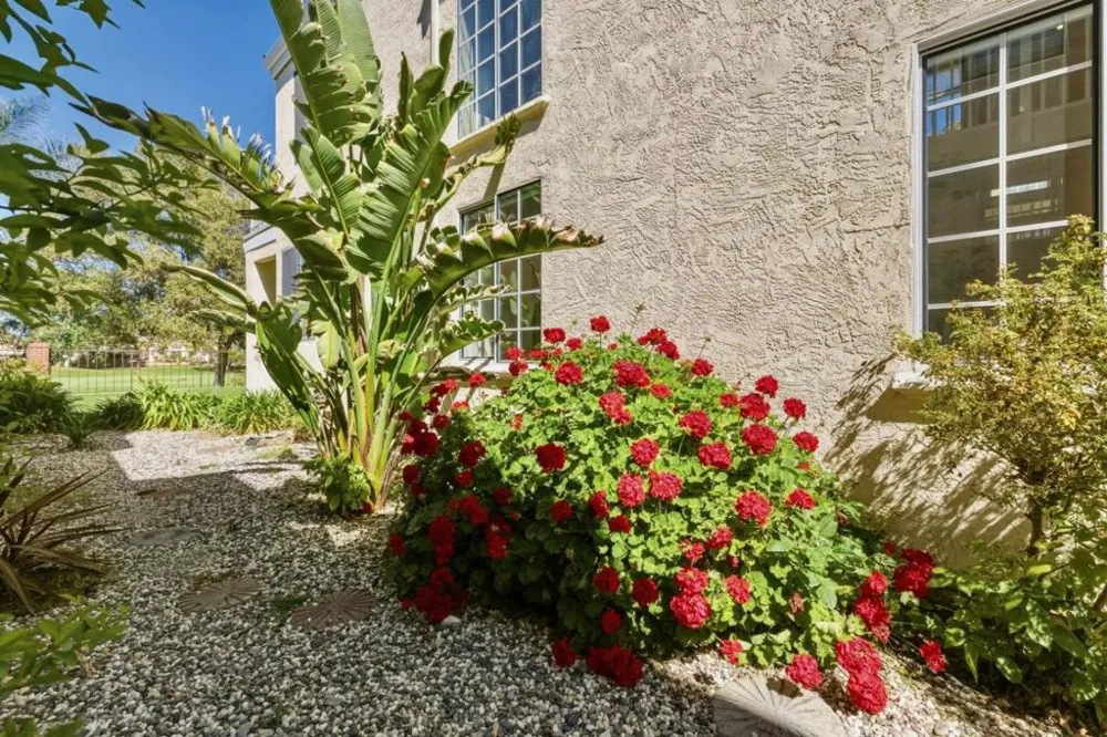 2595 Cherry Hills Drive Discovery Bay, CA 94505