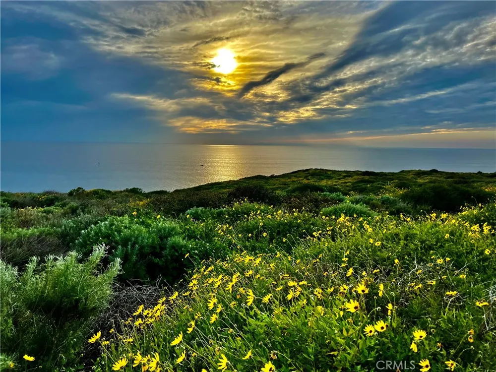 26972 Mill Pond Road #30 Dana Point, CA 92624