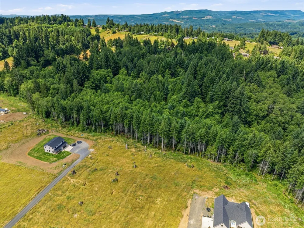 252 Ash Mountain Drive Castle Rock, WA 98611