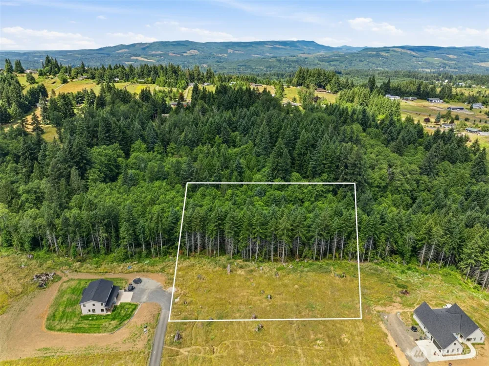 252 Ash Mountain Drive Castle Rock, WA 98611