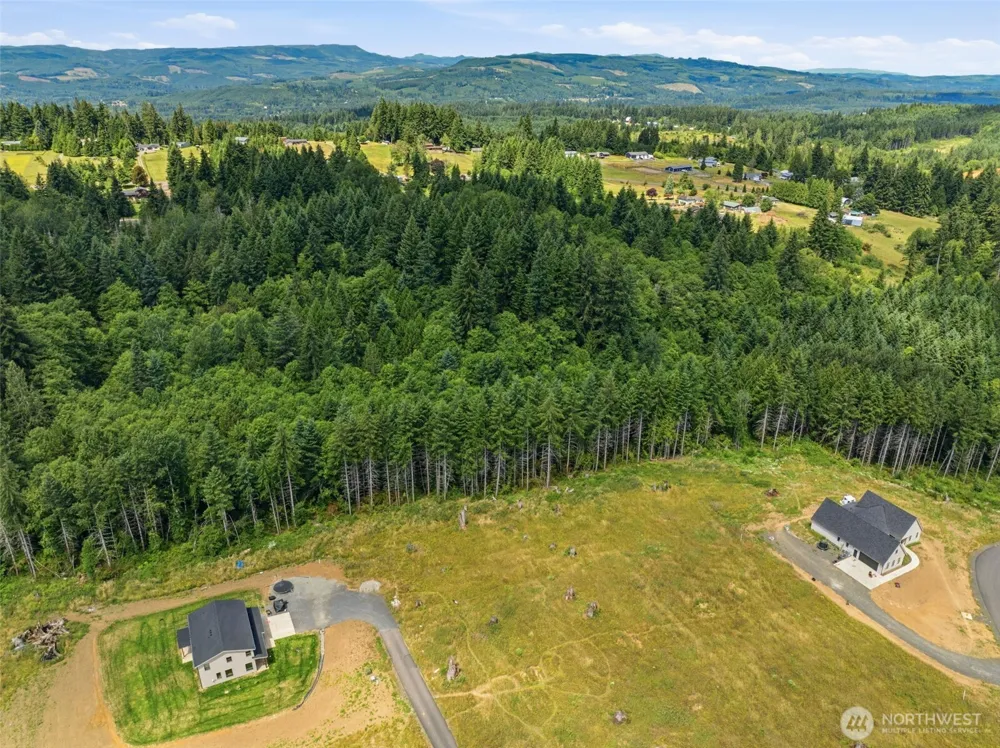 252 Ash Mountain Drive Castle Rock, WA 98611