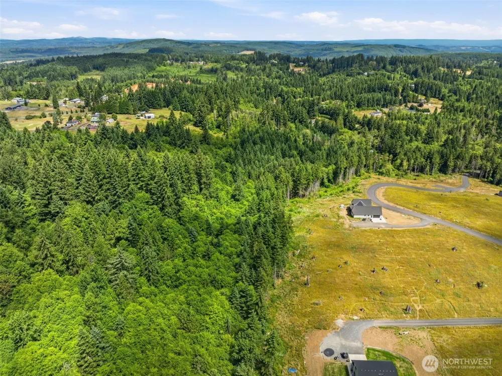 252 Ash Mountain Drive Castle Rock, WA 98611