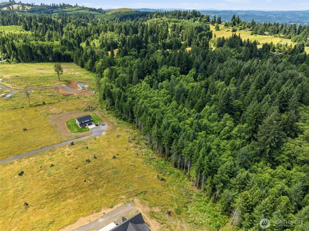 252 Ash Mountain Drive Castle Rock, WA 98611