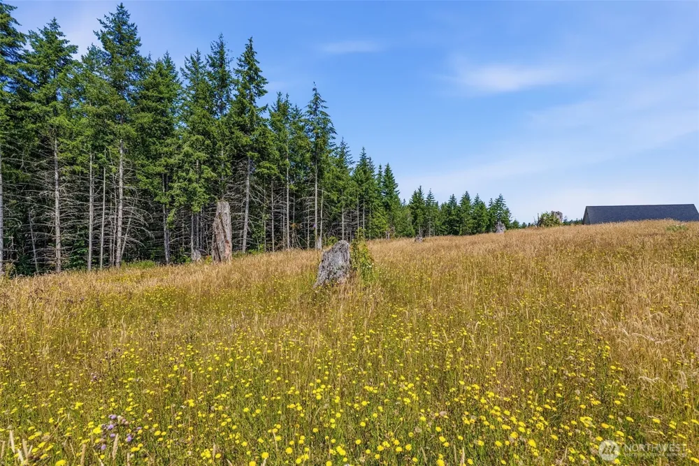 252 Ash Mountain Drive Castle Rock, WA 98611