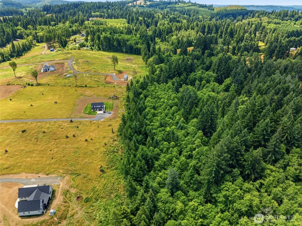 252 Ash Mountain Drive Castle Rock, WA 98611
