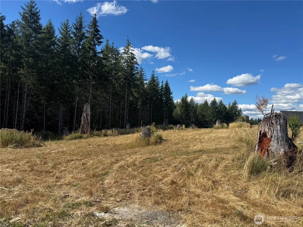 252 Ash Mountain Drive Castle Rock, WA 98611