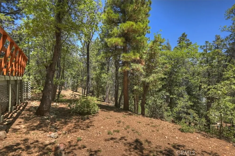 1710 Canyon Crest Big Bear Lake, CA 92315