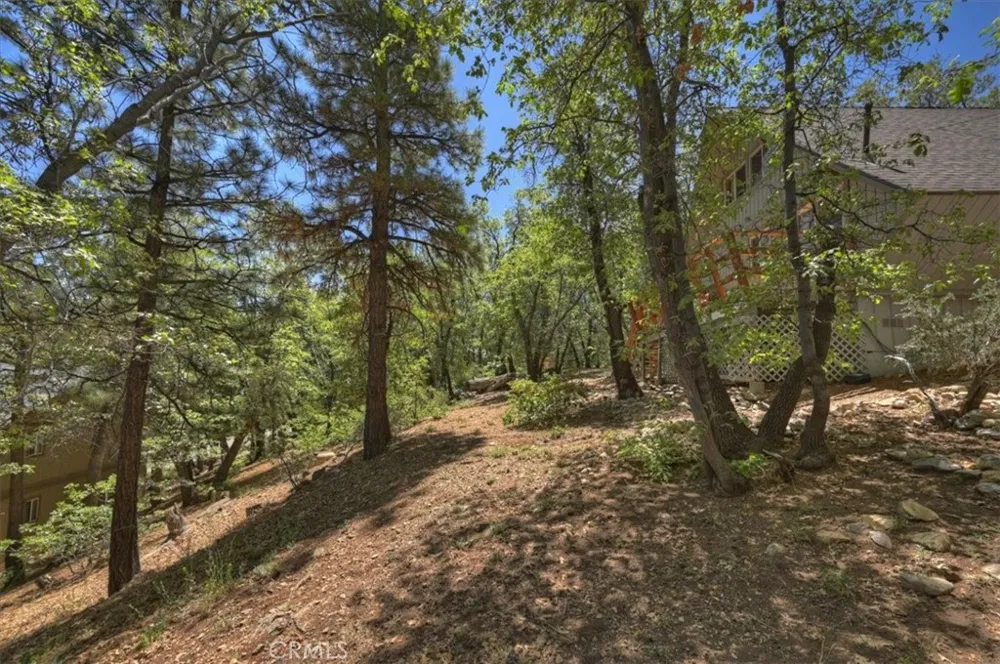 1710 Canyon Crest Big Bear Lake, CA 92315