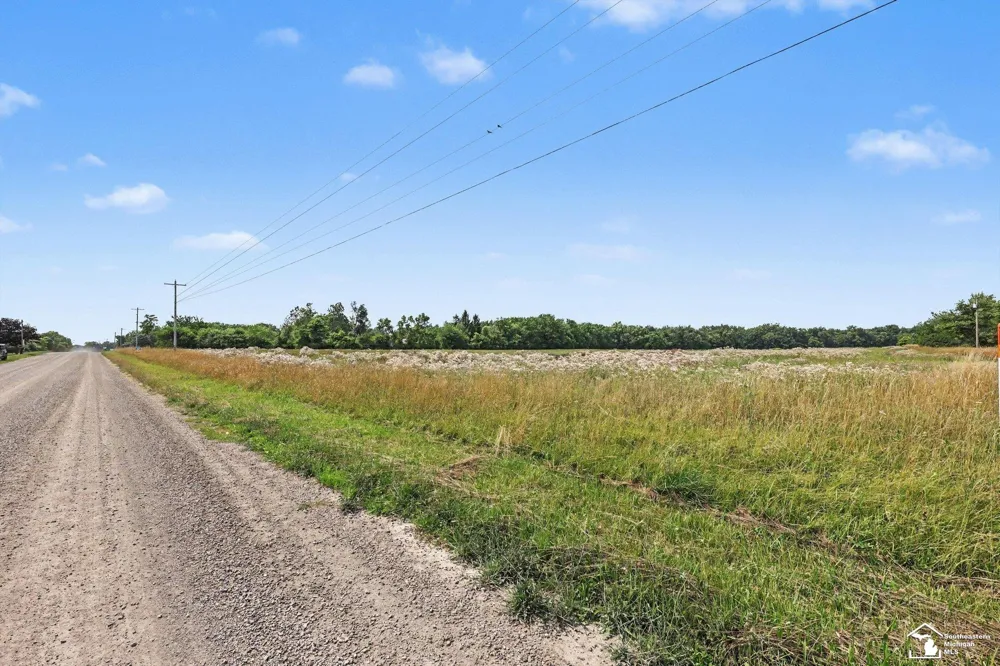 4000 Tomer Road Madison Charter Township, MI 49221
