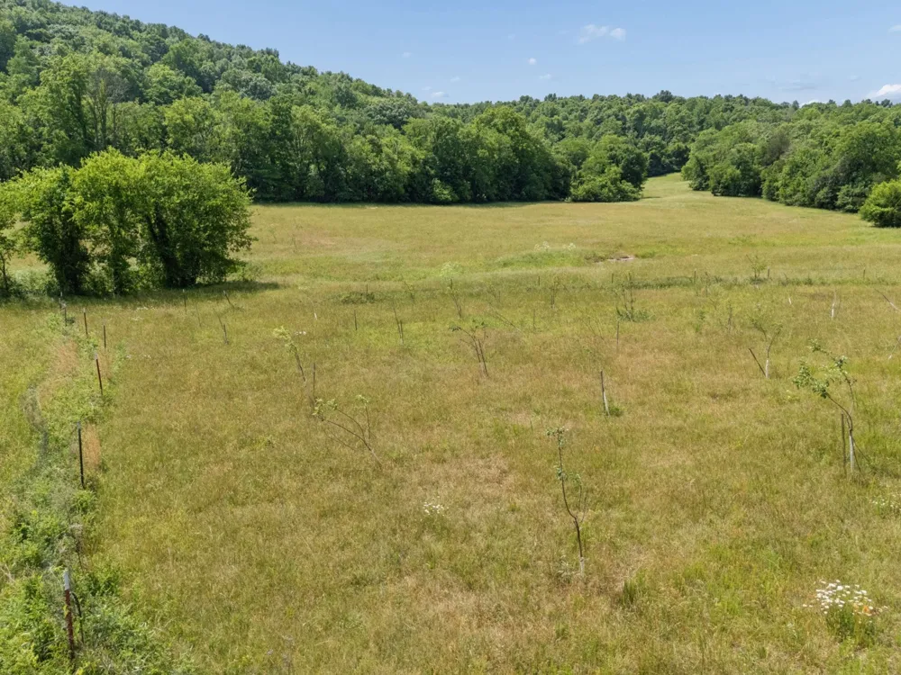 2063 Kennedy Creek Rd Auburntown, TN 37016