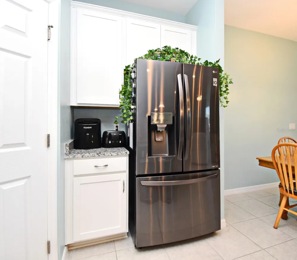 33291 REMBRANDT LANE Sorrento, FL 32776