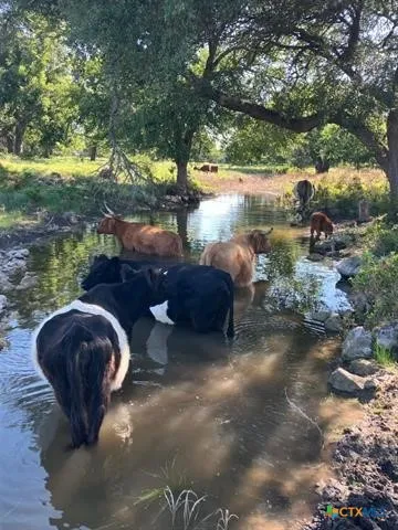 County Road 200 Burnet, TX 78611
