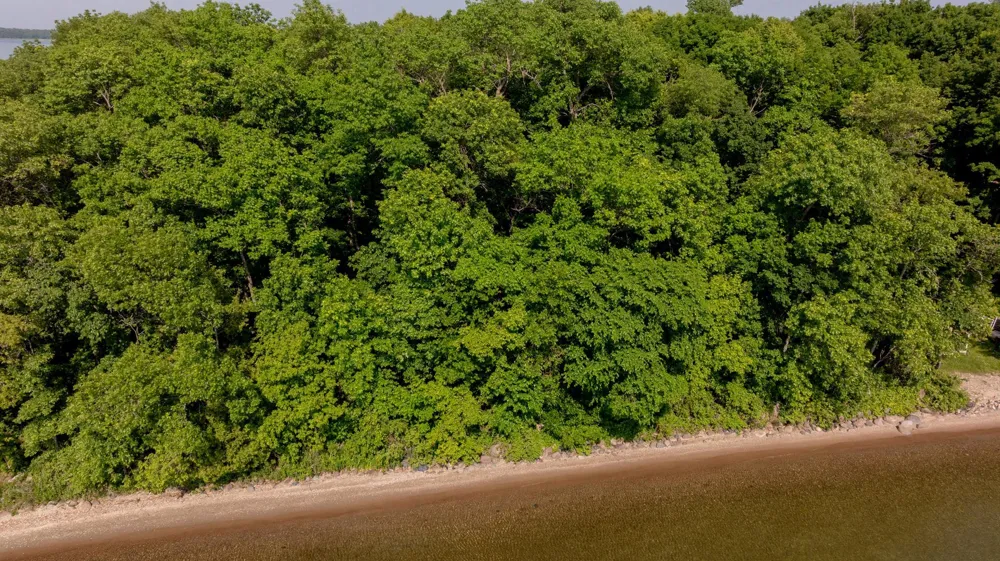 TBD Duck Point Road NW Cass Lake, MN 56633