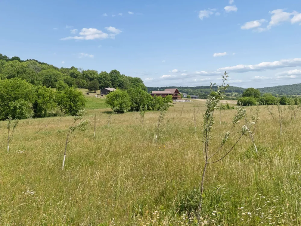 2063 Kennedy Creek Rd Auburntown, TN 37016