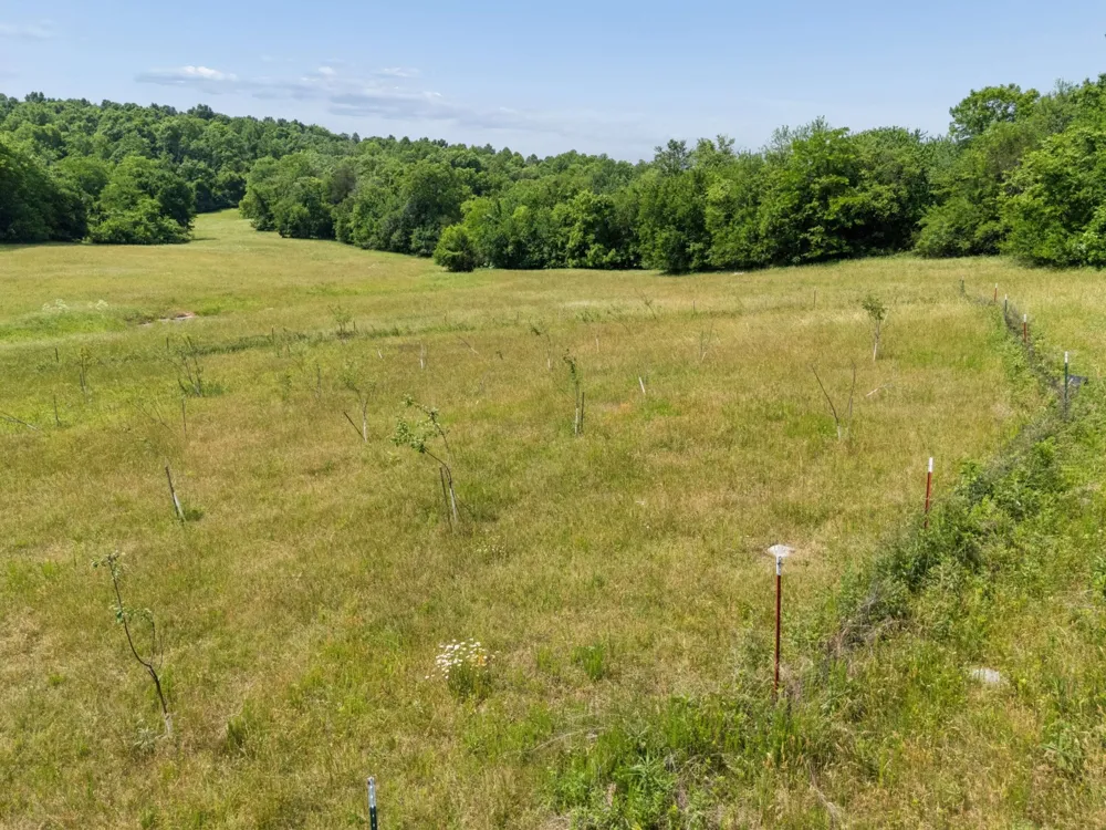 2063 Kennedy Creek Rd Auburntown, TN 37016