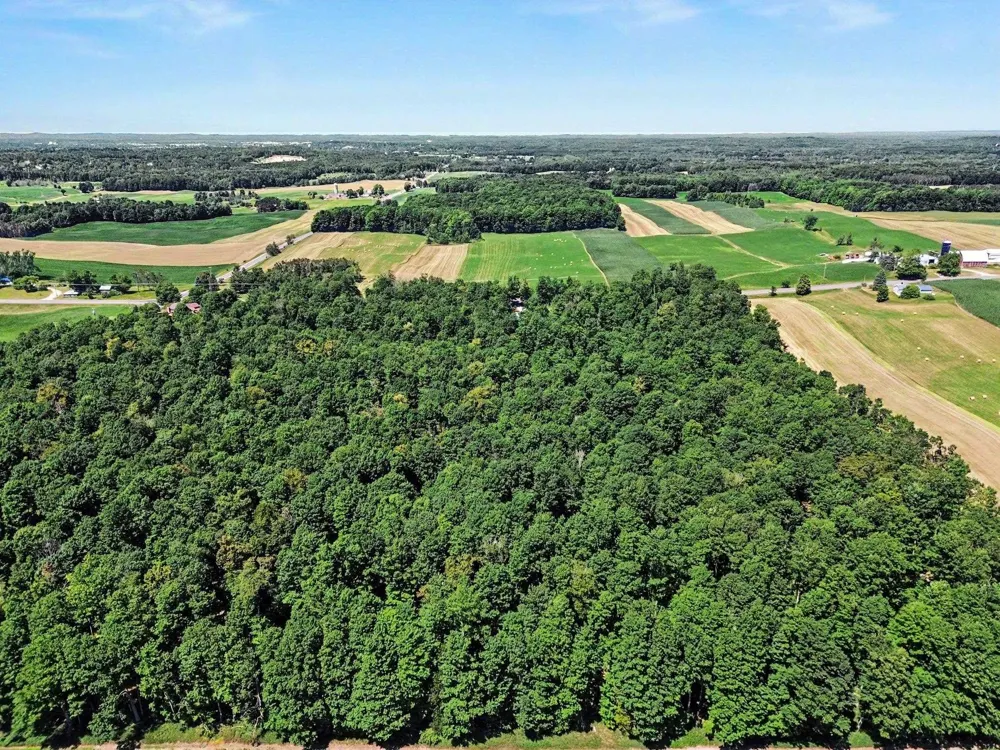 10212 E 48 ROAD Clam Lake Township, MI 49601