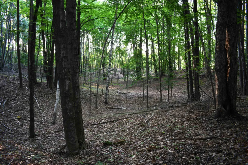 E Ritchie Road Hawes Township, MI 48742