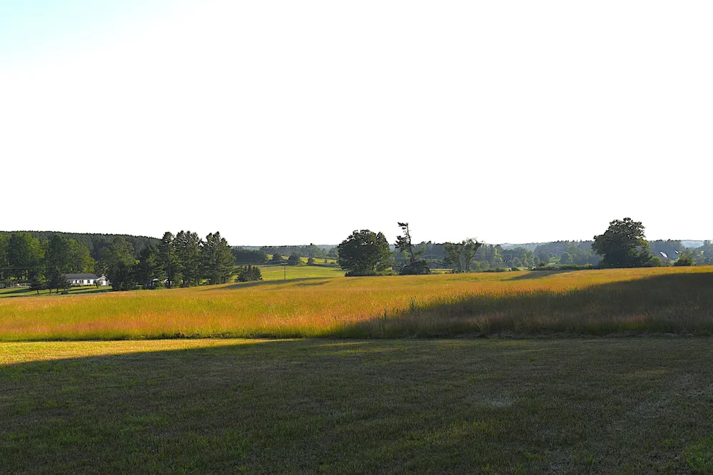 E Ritchie Road Hawes Township, MI 48742