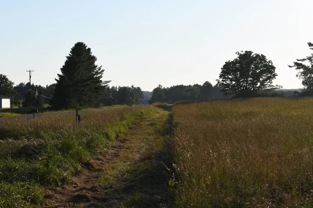 E Ritchie Road Hawes Township, MI 48742