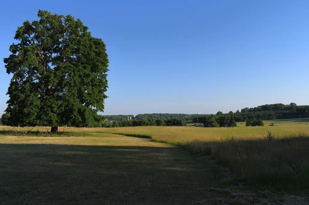 E Ritchie Road Hawes Township, MI 48742