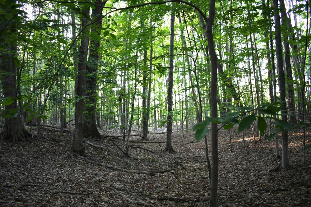 E Ritchie Road Hawes Township, MI 48742