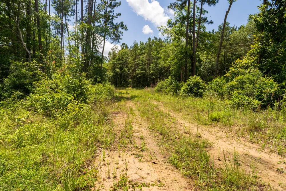 Cr 4040 Woodville, TX 75979