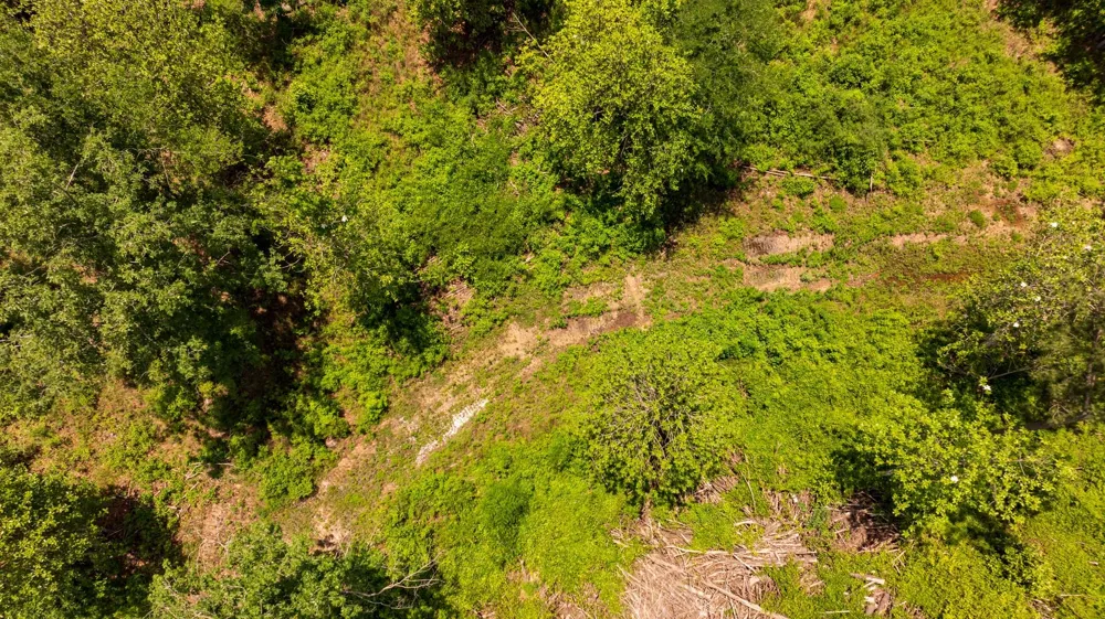 Cr 4040 Woodville, TX 75979