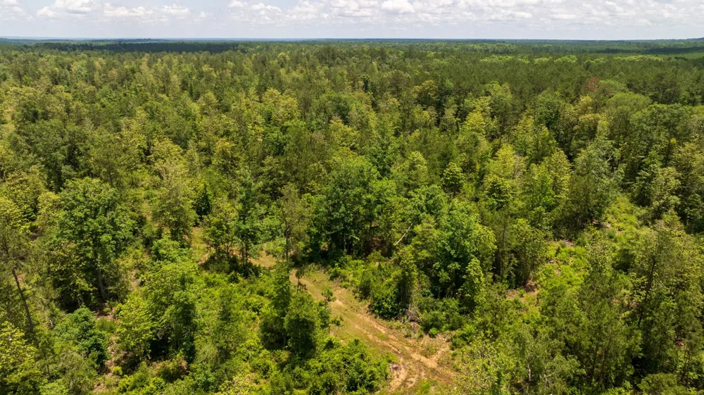 Cr 4040 Woodville, TX 75979