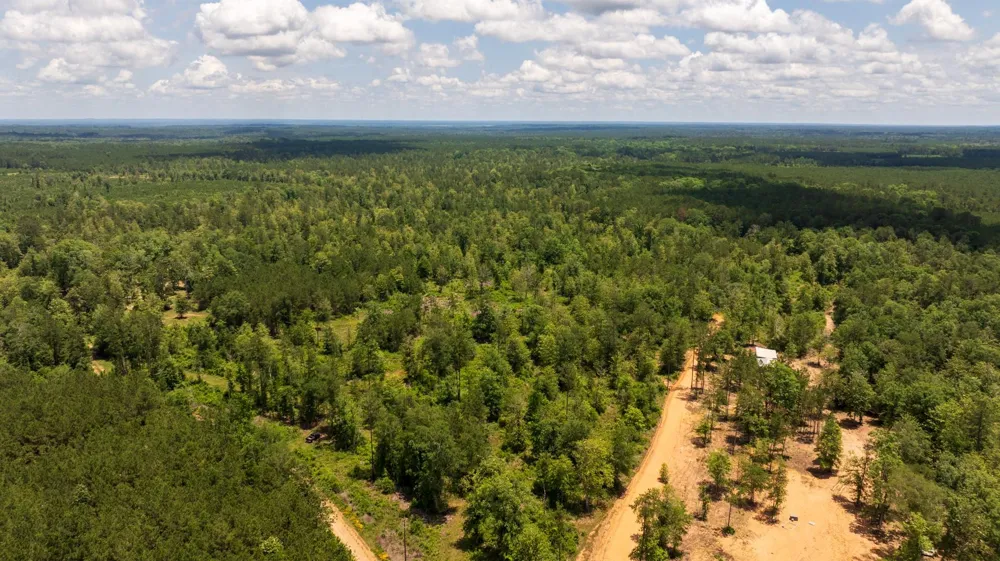 Cr 4040 Woodville, TX 75979