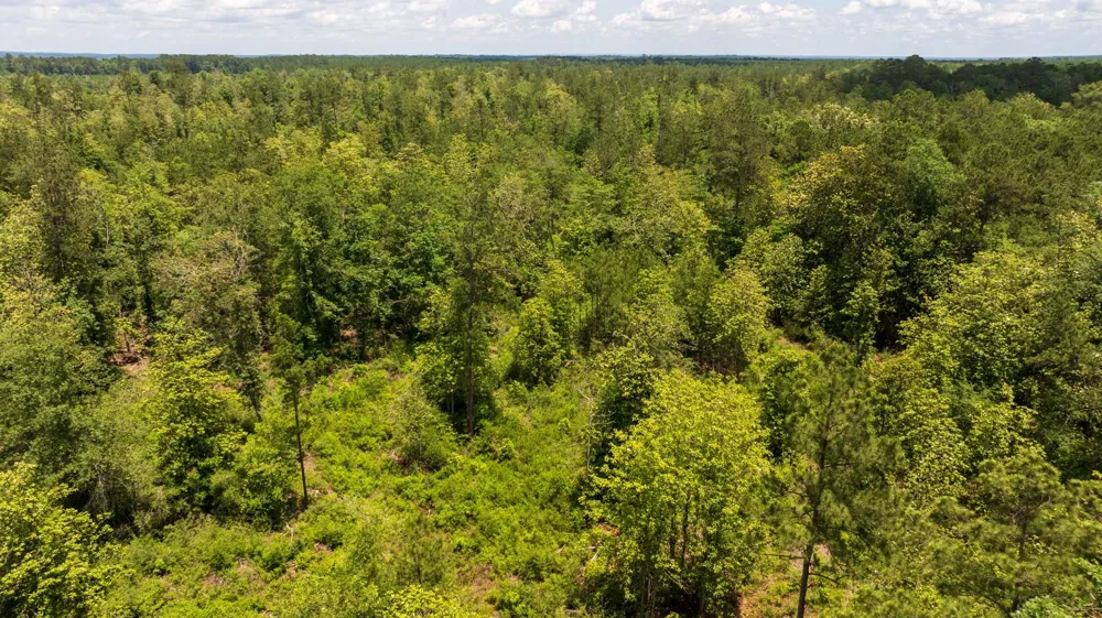Cr 4040 Woodville, TX 75979