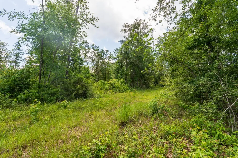 Cr 4040 Woodville, TX 75979