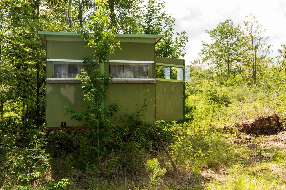 Cr 4040 Woodville, TX 75979