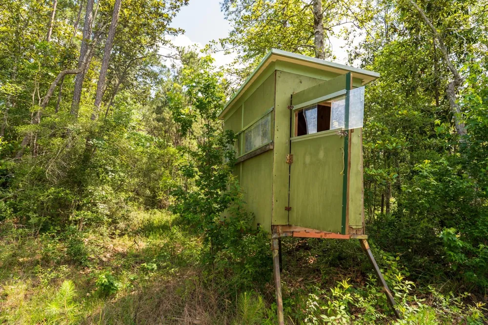 Cr 4040 Woodville, TX 75979