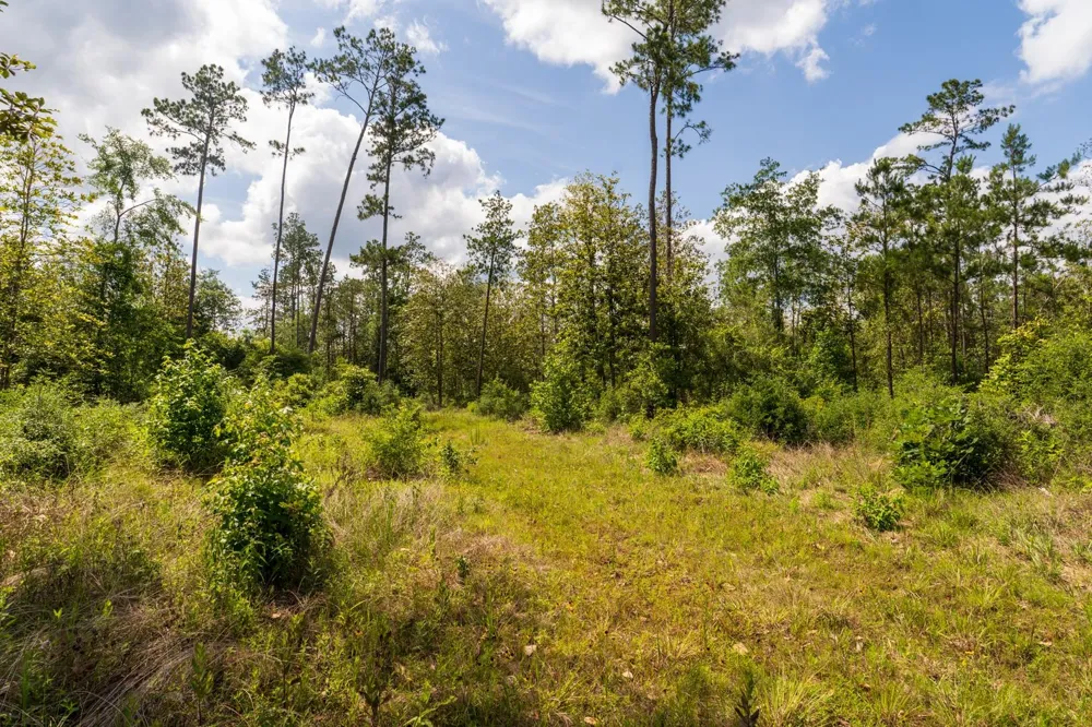 Cr 4040 Woodville, TX 75979