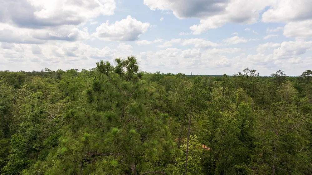 Cr 4040 Woodville, TX 75979