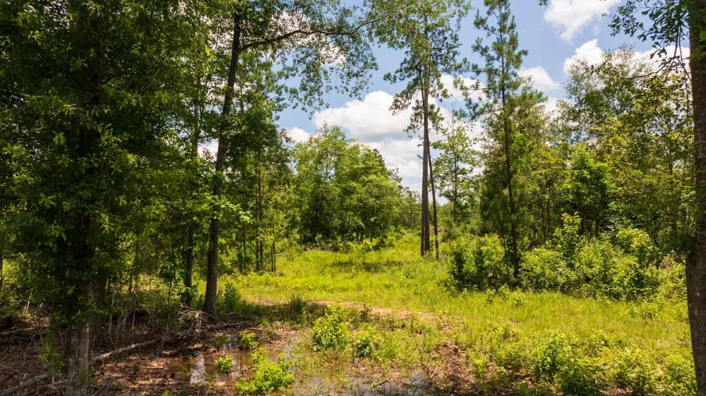 Cr 4040 Woodville, TX 75979