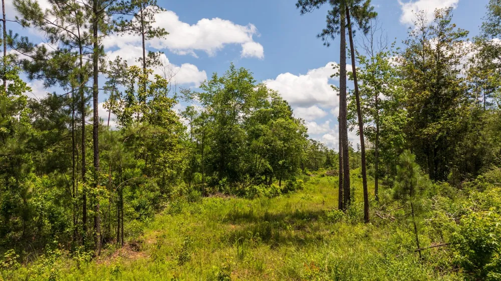 Cr 4040 Woodville, TX 75979