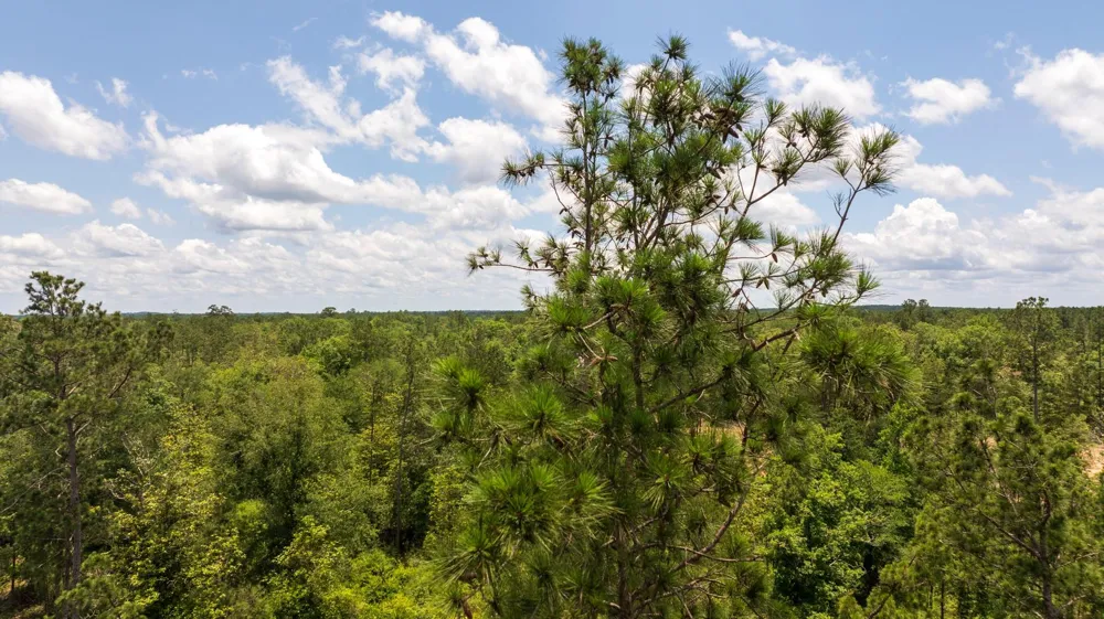 Cr 4040 Woodville, TX 75979