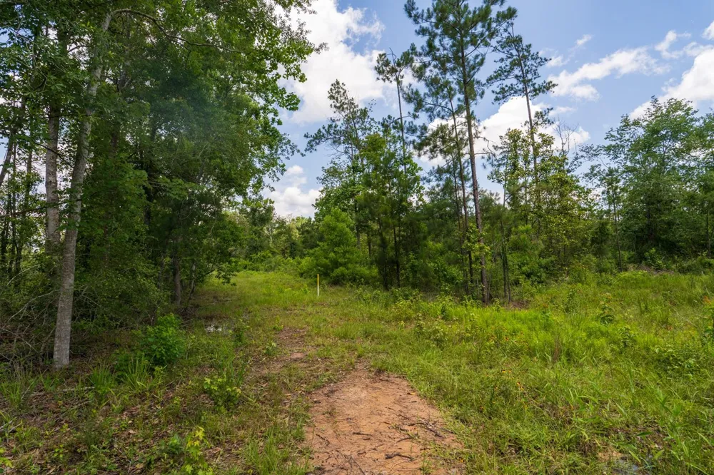Cr 4040 Woodville, TX 75979