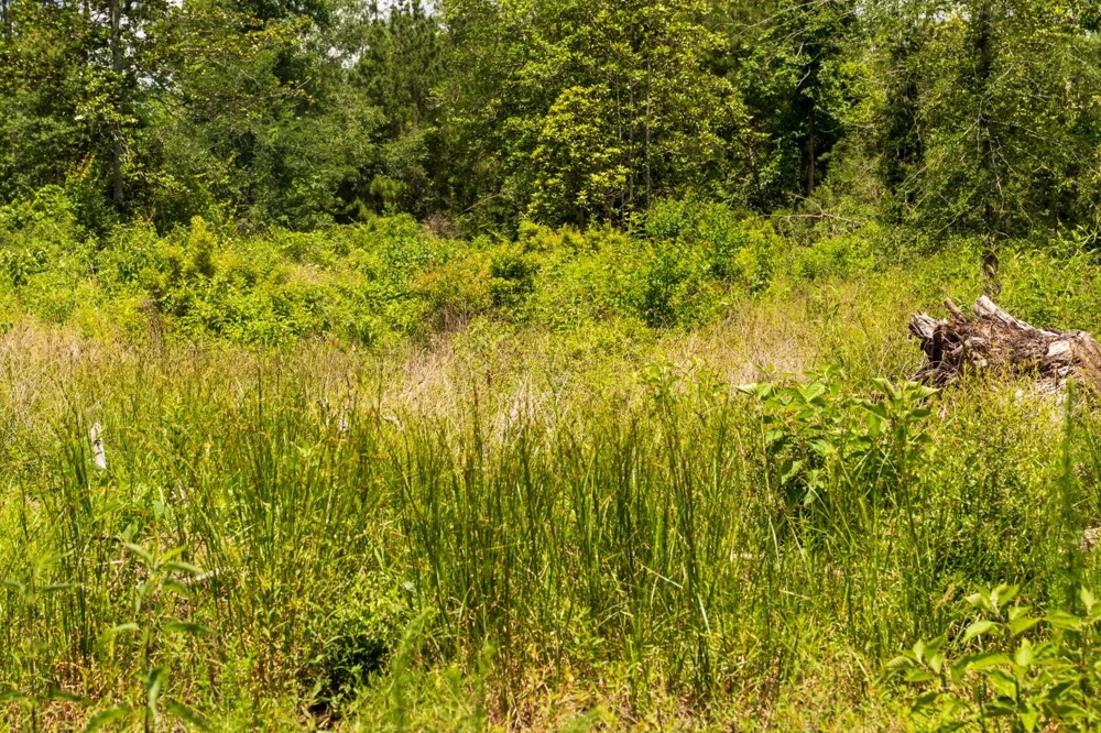 Cr 4040 Woodville, TX 75979