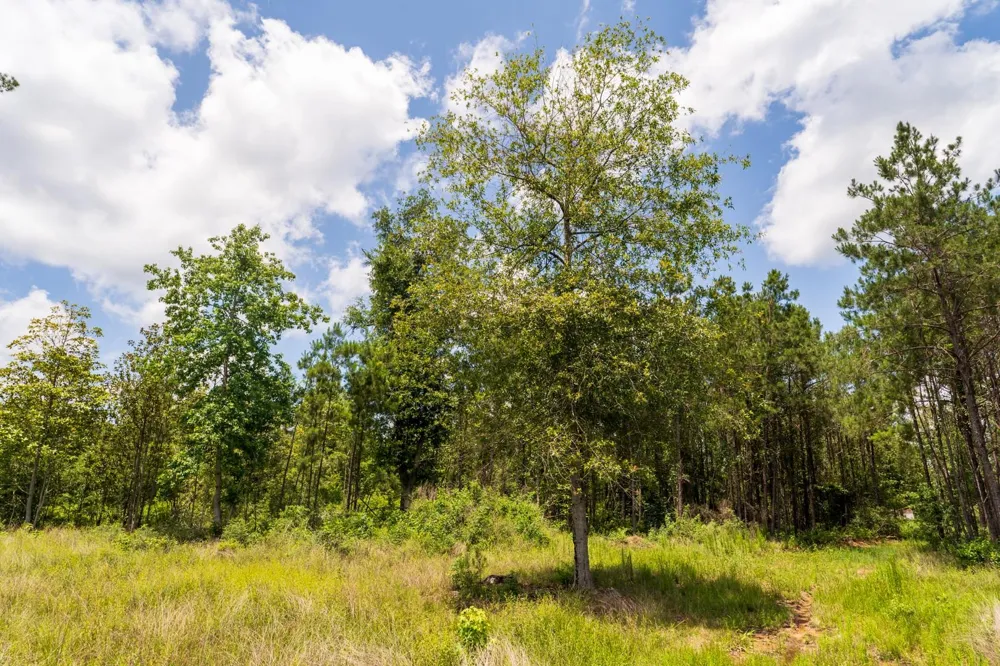 Cr 4040 Woodville, TX 75979