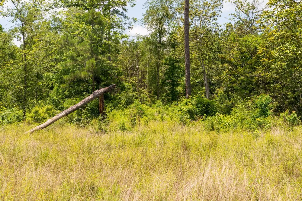 Cr 4040 Woodville, TX 75979