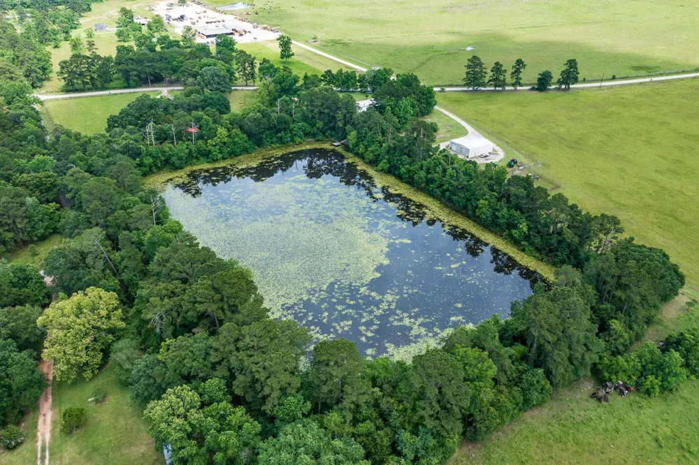 126 County Road 3011 Dayton, TX 77535